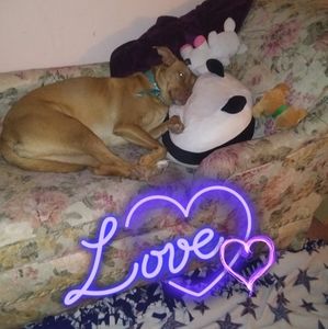 Meet your Posher, Nichole